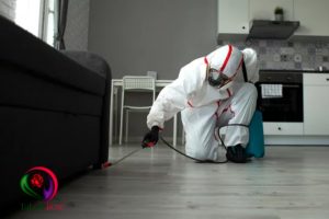 بهترین راه مبارزه با حشرات: خدمات سم پاشی تخصصی برای کنترل و پیشگیری از آفات 2 از بهترین راه مبارزه با حشرات استفاده از سموم و تله پیشرفته است